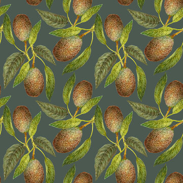 Hand-drawn avocados with colored pencils on paper. Naturalistic avocados with leaves in a seamless pattern. A summer print for design. Not AI-generated.