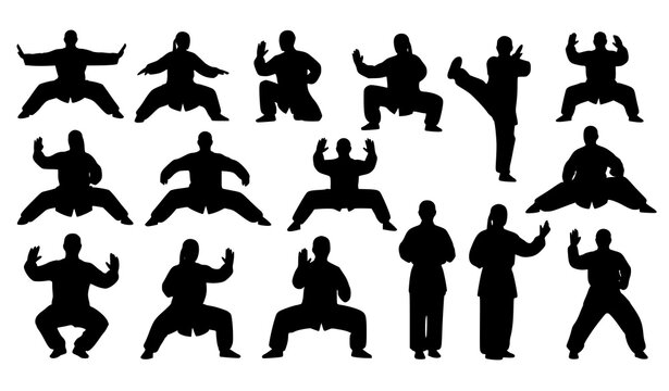 Taichi and silat martial arts silhouettes vector warrior pose set