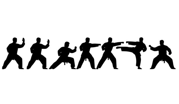 Taichi motion sequence silhouettes vector silat martial arts flow set