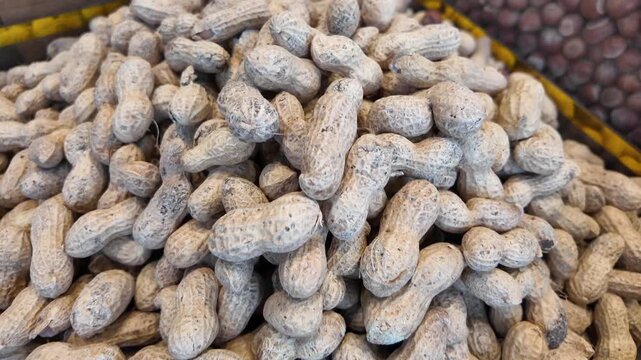 A motion footage capturing pile of peanuts in shells at market with dynamic close-up view.