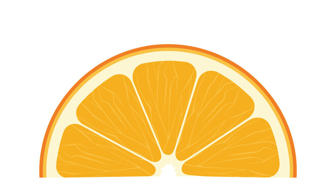Simple graphic illustration of a juicy orange slice in a semi circle shape showing its pulp and segment detail.