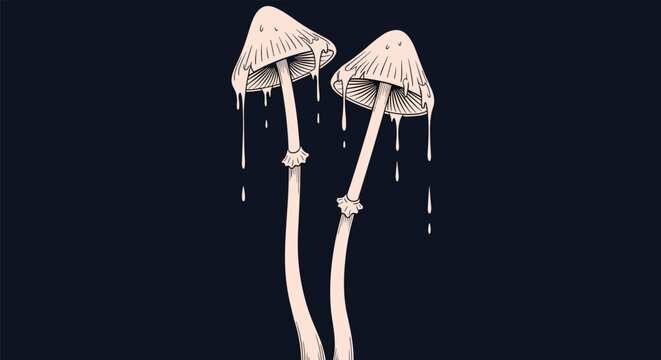 Two tall slender mushrooms with dripping caps shown against a dark black background in a dramatic art style.