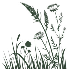 Fototapeta premium Dark green grass and wildflowers on isolated for design and decoration purposes