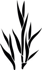 Fototapeta premium Sugarcane stalks group silhouette, dense tropical grass or cereal plant black icons isolated on white background