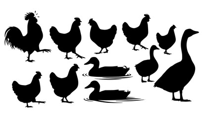 Creative farm poultry silhouettes vector chickens ducks geese animal collection © Wahida