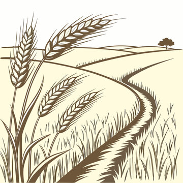 Vector illustration of a wheat field with a winding path and tree in the distance on a beige background