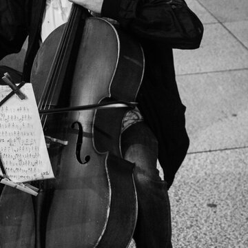 musico