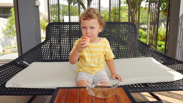 Joyful toddler happily pick up one flat peach from and happily eats it. Adorable little boy nibbles and laughs, enjoying his fresh snack.