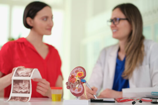 In a modern clinic, a doctor discusses kidney health with a patient. The patient examines kidney images while a model highlights key features. They share insights and explore options together.