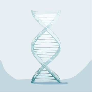 Eine transluzente DNA-Doppelhelix 
