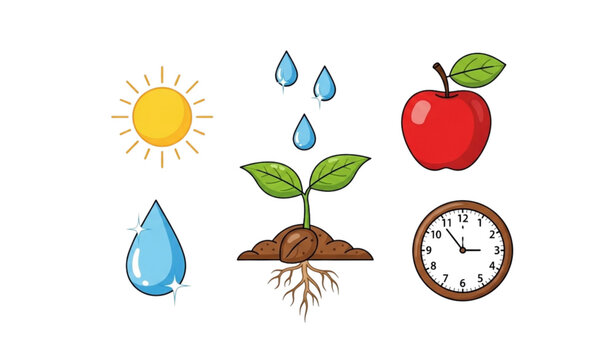 Plant growth vector set seedling roots water sun apple clock concept