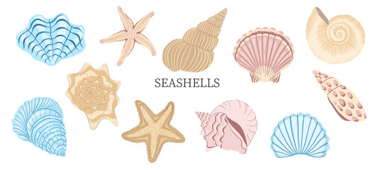 Fototapeta premium A set of shells, starfish, and underwater elements. A cute collection of hand-drawn seascapes in pastel colors. Vector illustrations for summer, nautical design, beach decor, and children's projects