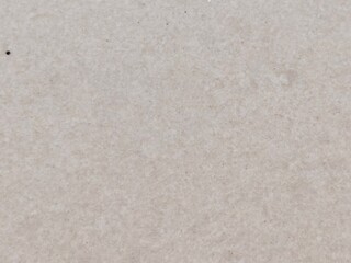 Fototapeta premium Subtle and Versatile Light Gray Textured Background Surface, Ideal for Graphic Design Elements, Website Banners, or Abstract Art Projects with a Minimalist Aesthetic