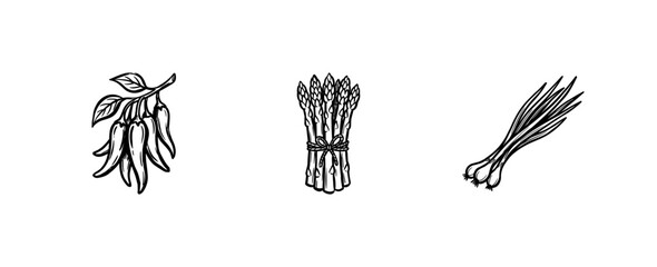 Fototapeta premium Fresh Garden Vegetables and Organic Produce Elements with Hand-Drawn Inky Brushwork and Calligraphic Outlines