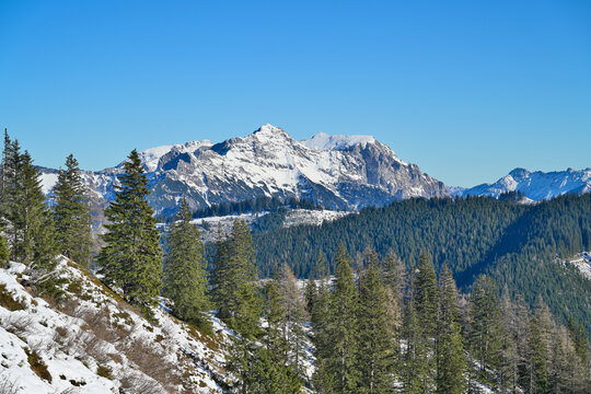 Snowy Austrian mountain landscape with alpine fir forest, background Styrian mountain range Kaiserschild against blue sky