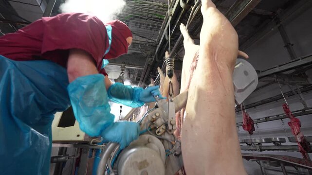 Low-angle view of a worker in protective gear using an industrial power saw to split a hanging pig carcass in a slaughterhouse
