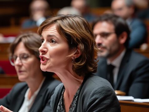 French deputy arguing at the National assembly chamber in Paris