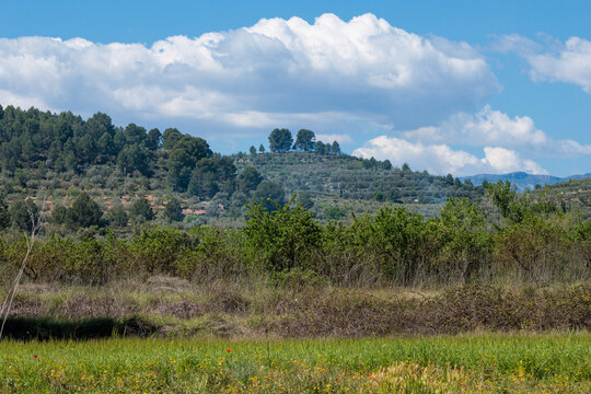Paisaje de campos de cultivo y monta&ntilde;as bajo un cielo nublado en el barranco de la Encantada, Beniarr&eacute;s, Espa&ntilde;a