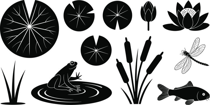 Pond ecosystem silhouettes with lotus flower frog cattails dragonfly fish lily pads grass nature wildlife vector illustration design art