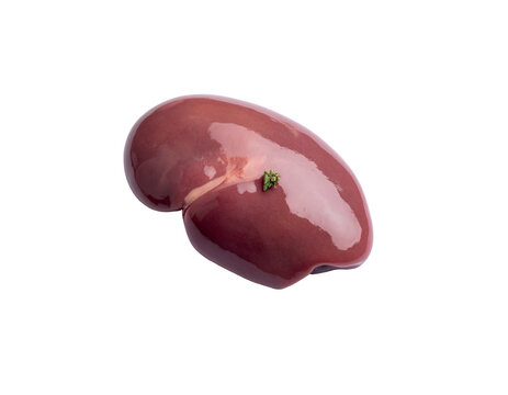 Fresh red kidney bean-shaped meat piece with smooth glossy surface