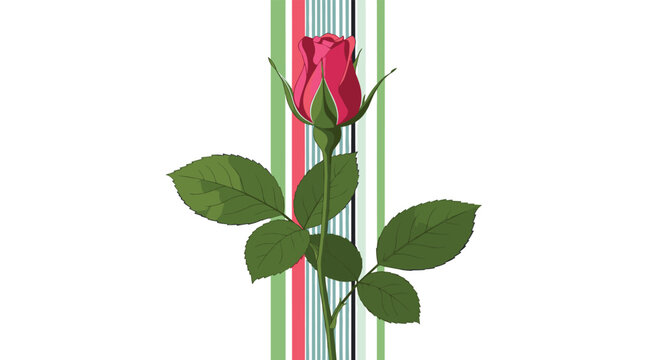 Beautiful single pink rose bud with green leaves and a long stem set against a vertical striped colorful background.