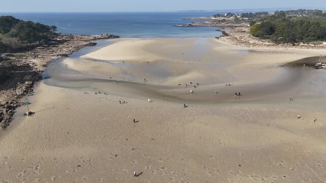 Drone descends over sunlit tidal flats as Breton families gather for p&ecirc;che &agrave; pied at low tide, Concarneau, France.