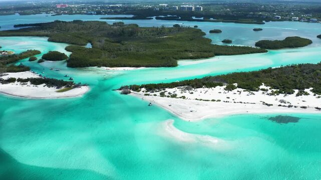 Aquamarine channels wind through the lush landscape of Jim Neville Marine Preserve. Ideal for nature documentaries or travel features.