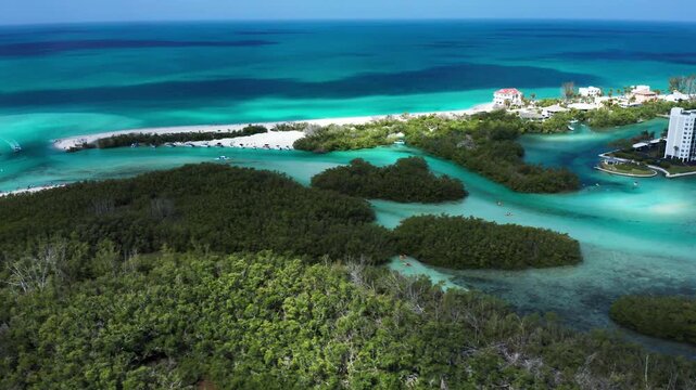 Lush mangroves and turquoise waters create a vibrant coastal scene. Ideal for environmental documentaries and travel visuals.
