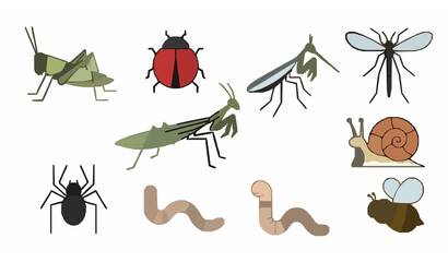 Minimal insect icons vector grasshopper ladybug bee snail spider simple set © Wahida