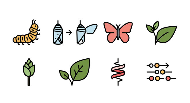 Illustration depicting metamorphosis: caterpillar, chrysalis, butterfly, and nature elements