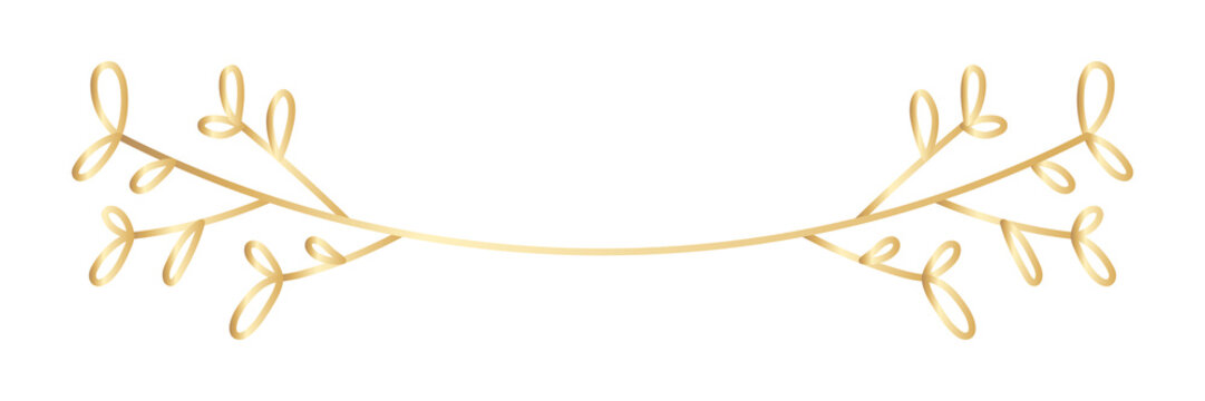 PNG Elegant gold botanical divider illustration on transparent background