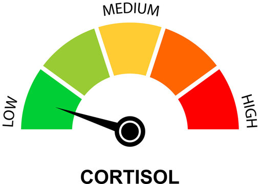 cortisol level meter low to high stress indicator