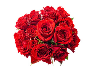Obraz premium Vibrant red rose bouquet in rich velvet petals, fresh cut floral arrangement