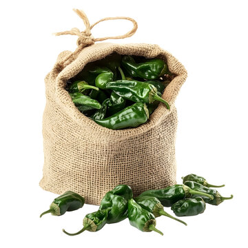 Front view of a single burlap sack of padron peppers overflow and fallen out, studio shot, isolated on a white transparent background