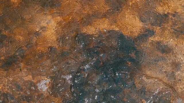 Two coins plunge into golden-hued water, disturbing the tranquil surface and revealing algae below. The warm tones create a magical and nostalgic atmosphere, suitable for fantasy, memory, or treasure