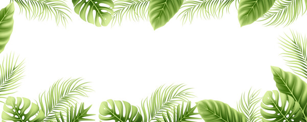 Frame of tropical leaves with place for text. Border with palm branches  leaves. Vector. © Alfin