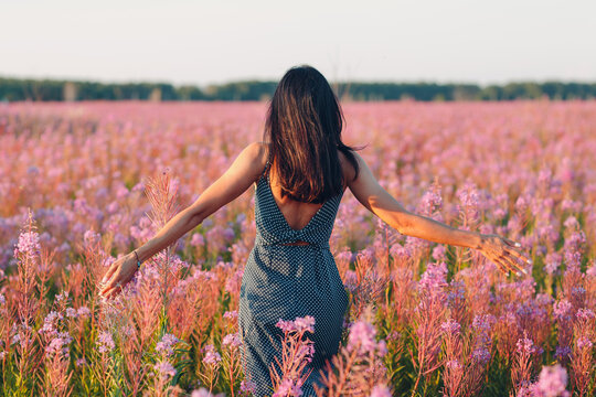 Young woman walk and touch flower field at sunset. Spring and summer season.