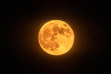 Fototapeta premium A large, glowing full moon dominates the dark sky.
