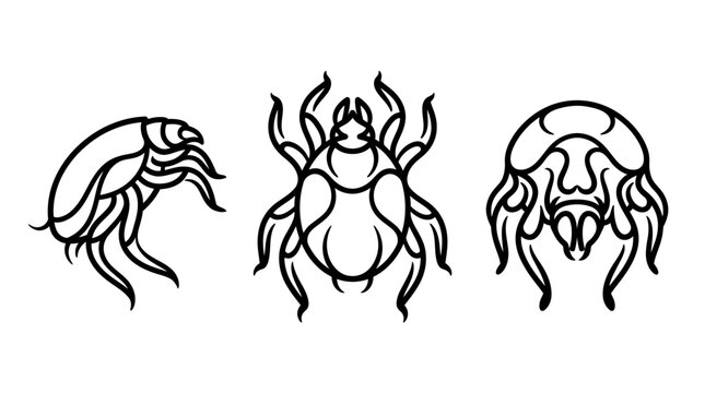 Black and White Line Art Illustrations of Various Insects.