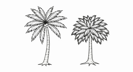 Obraz premium Two hand-drawn palm trees in black and white sketch style
