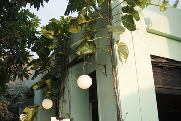 Lush green plants framing retro hanging sphere lights on a light mint building exterior. © Aliioss