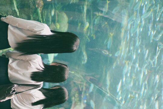 Back view of three young people with long black hair looking at aquarium tank