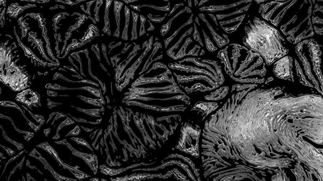 Abstract frost patterns forming on a black background