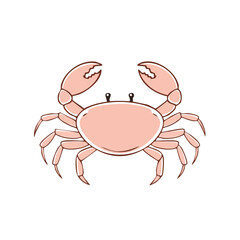 Fototapeta premium Pink Crab Illustration Cute Ocean Crustacean Cartoon Style Wildlife Marine Life