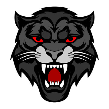 Head of Panther Vector illustration. Digital art of animal, panther illustration vector design.