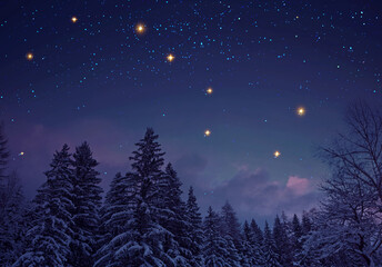 Fototapeta premium Night stars sky in a winter forest landscape.