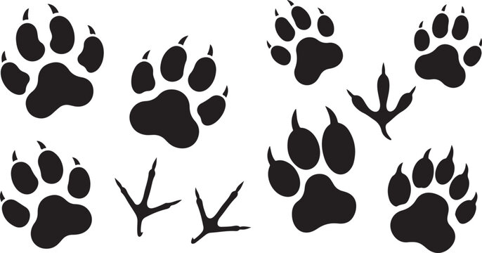 A versatile set of vector silhouettes featuring a variety of mammal paw prints with visible claws and delicate avian footprints.