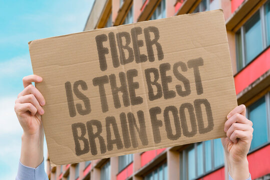 "Fiber Is The Best Brain Food" Documented nutritional neuroscience confirms dietary fibre is among the strongest predictors of documented cognitive health. GUT. FIBER. REAL. HEALTH. BRAIN.