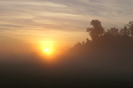Morgennebel