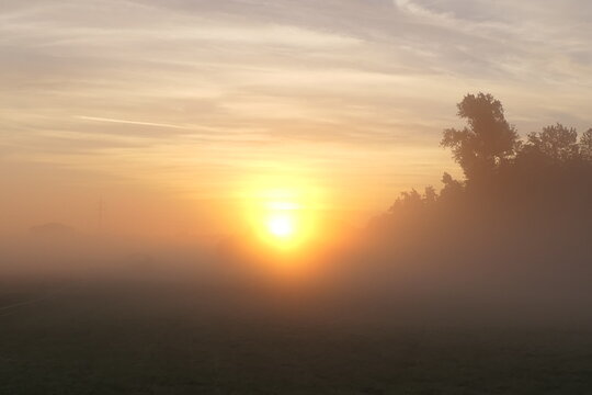 Morgennebel